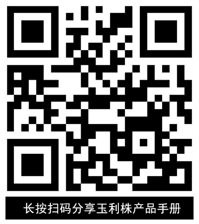 电子版